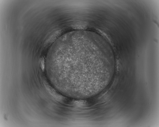 X0000100980069200807081254