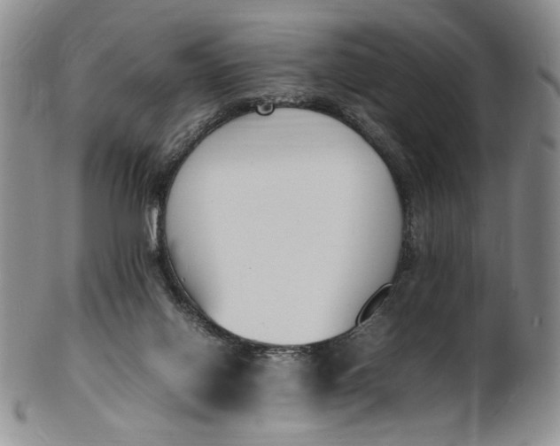 X0000100980070200807081254