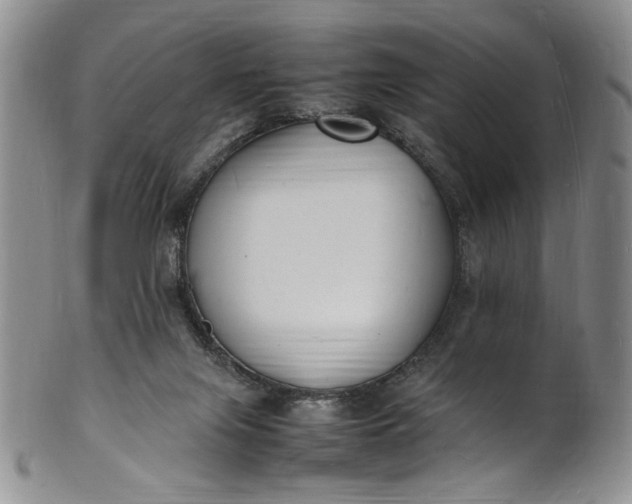 X0000100980071200807081254