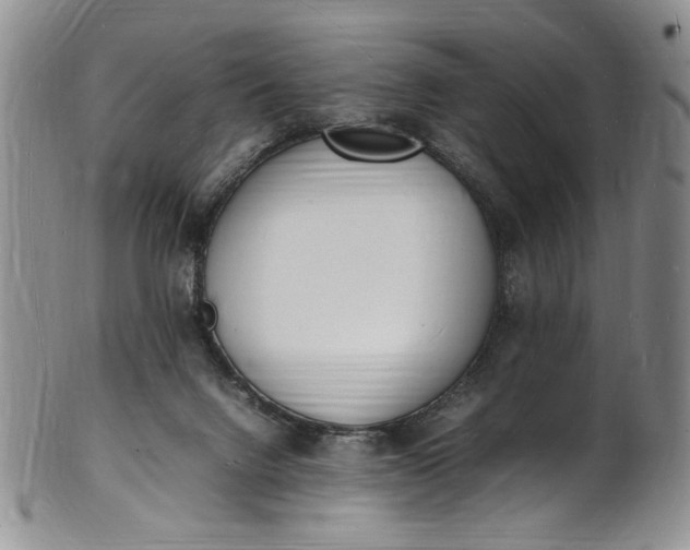 X0000100980072200807081254