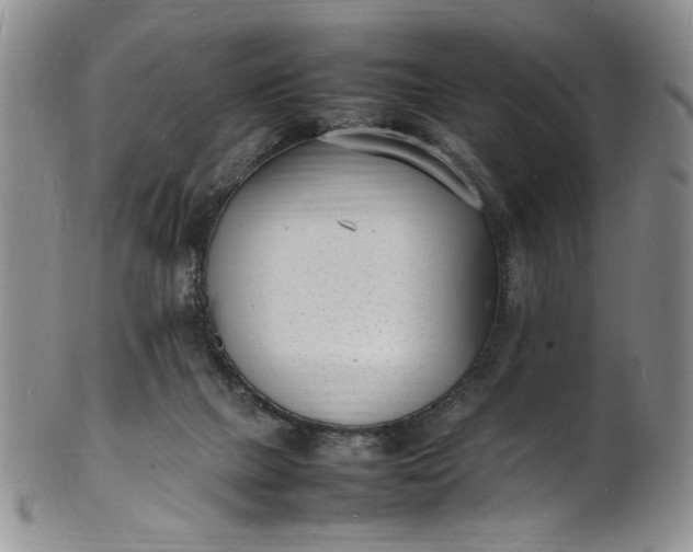 X0000100980073200807081254