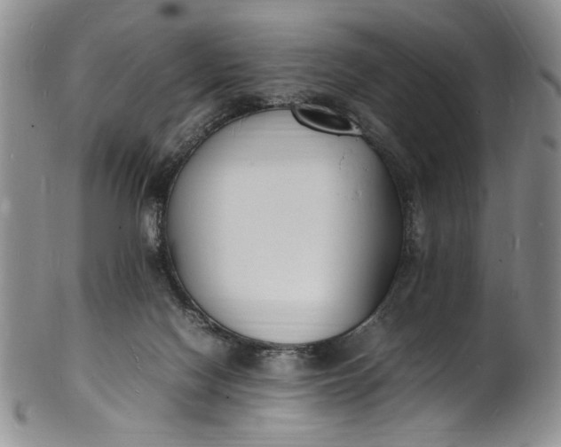 X0000100980074200807081254