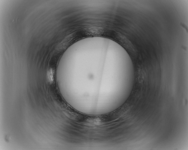 X0000100980075200807081254