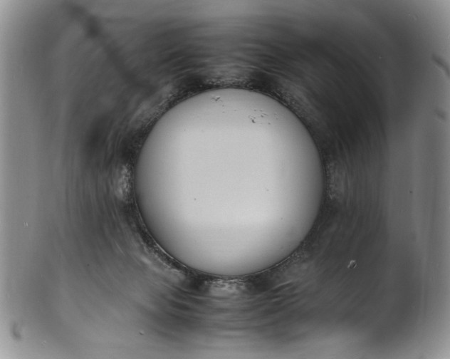 X0000100980077200807081254