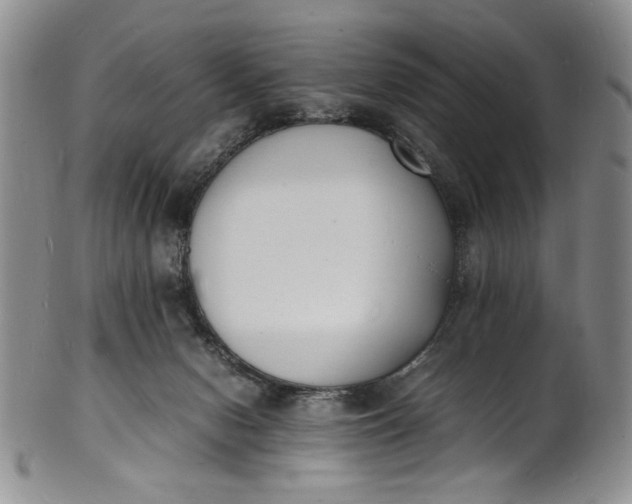 X0000100980078200807081254