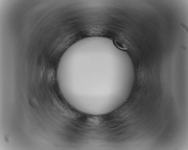 X0000100980079200807081254