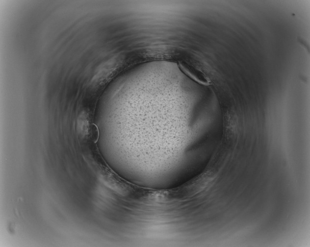 X0000100980080200807081254