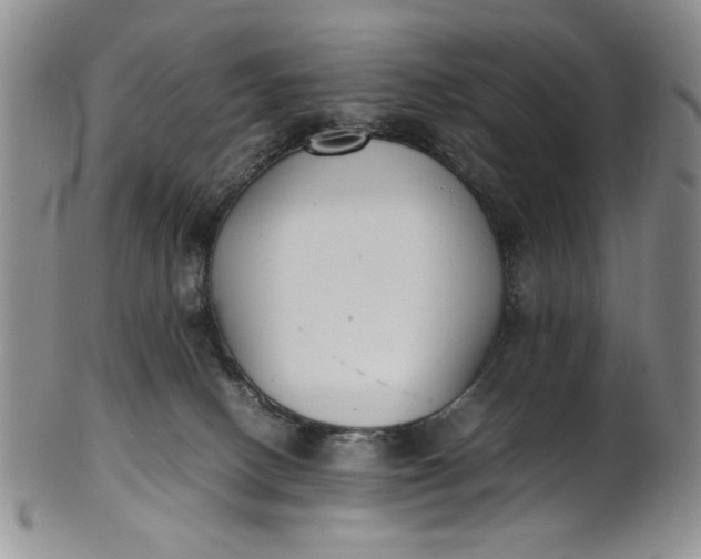 X0000100980082200807081254