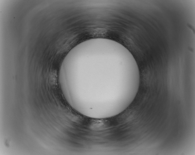 X0000100980083200807081254