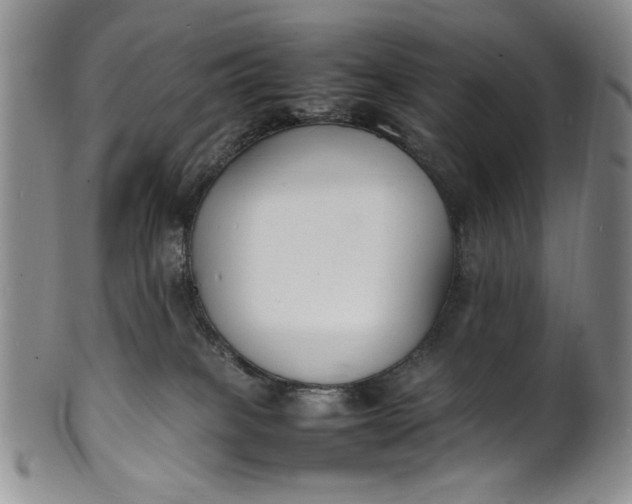 X0000100980085200807081254