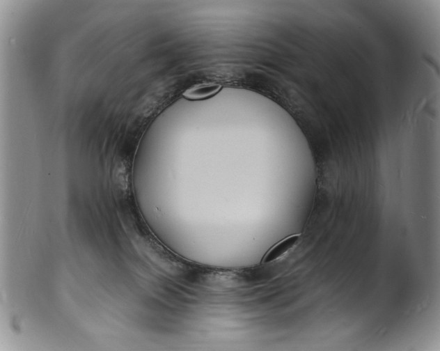 X0000100980086200807081254