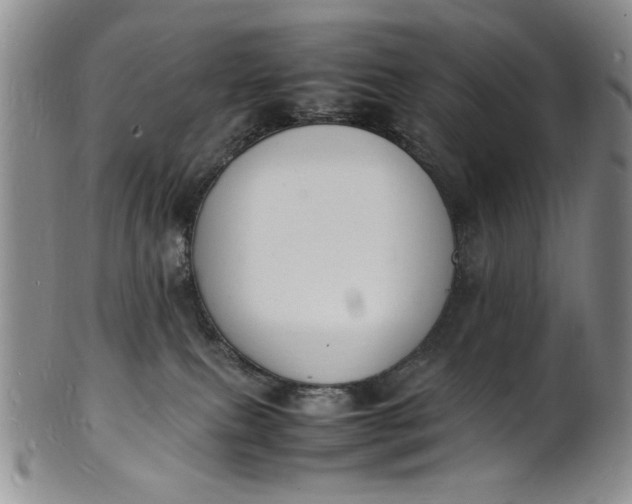 X0000100980087200807081254