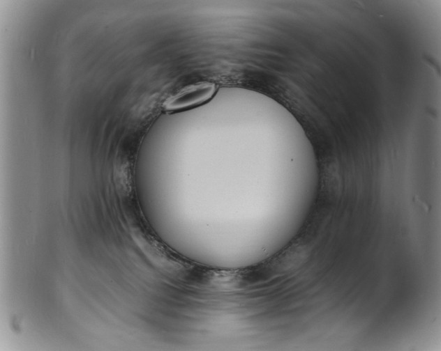 X0000100980088200807081254