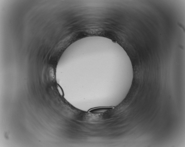 X0000100980089200807081254