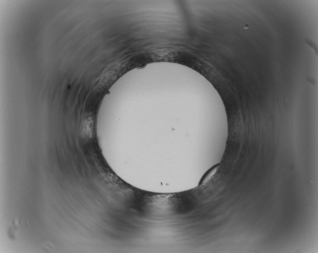 X0000100980090200807081254