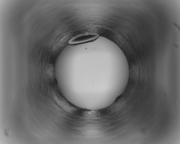 X0000100980092200807081254