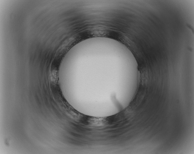 X0000100980093200807081254