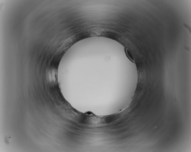 X0000100980094200807081254