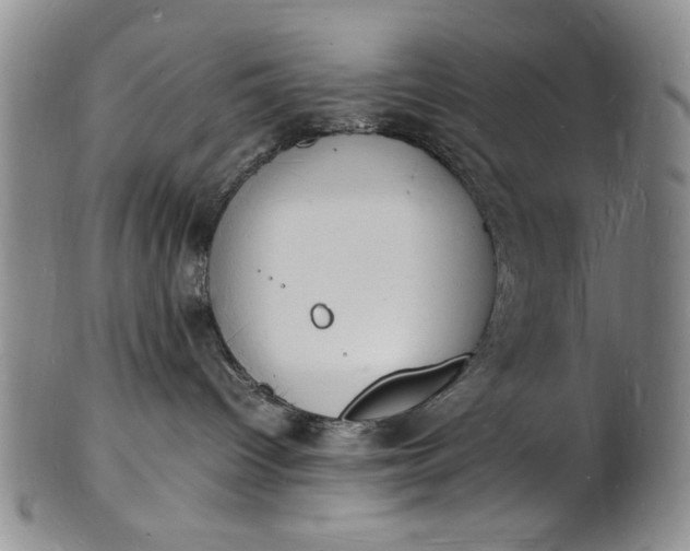 X0000100980096200807081254