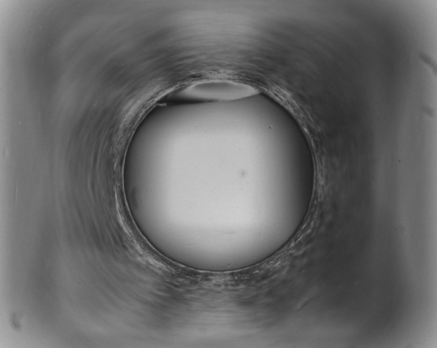 X0000100980097200807081253