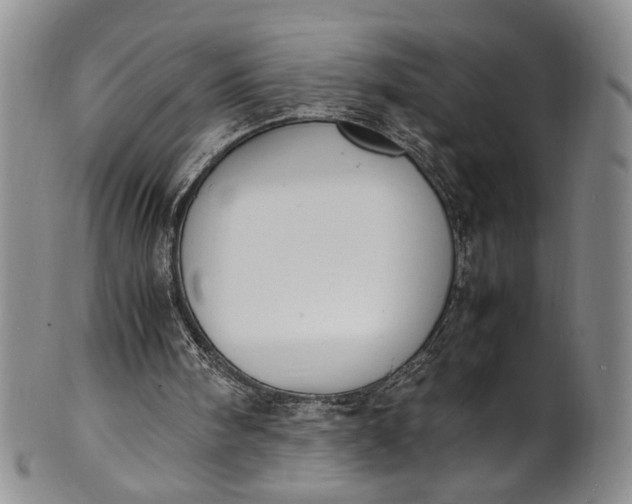 X0000100980098200807081253