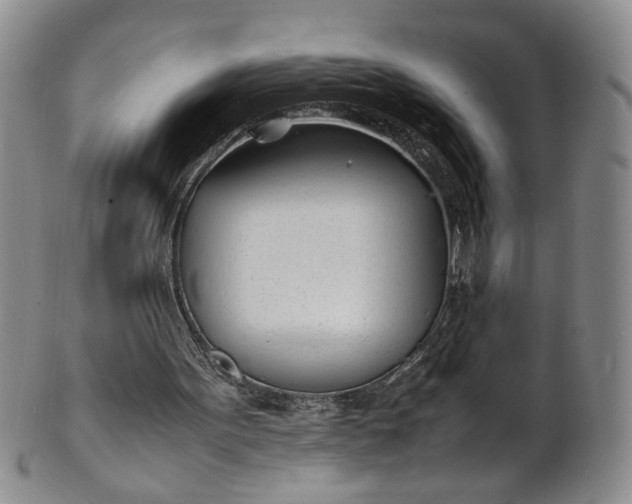 X0000100980099200807081253