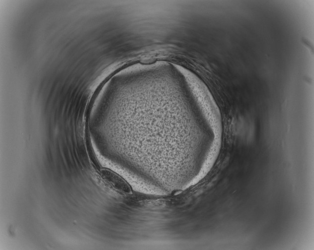 X0000100980100200807081253