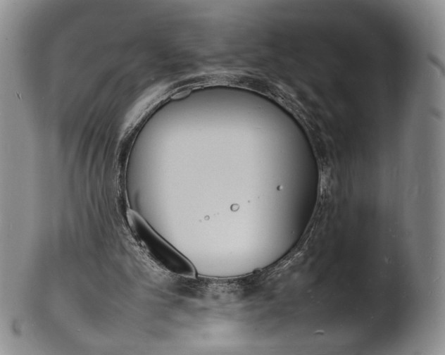 X0000100980101200807081253