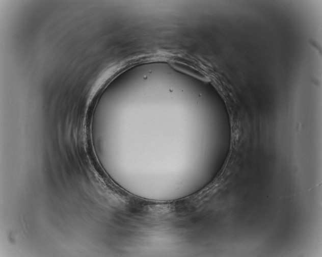 X0000100980102200807081253