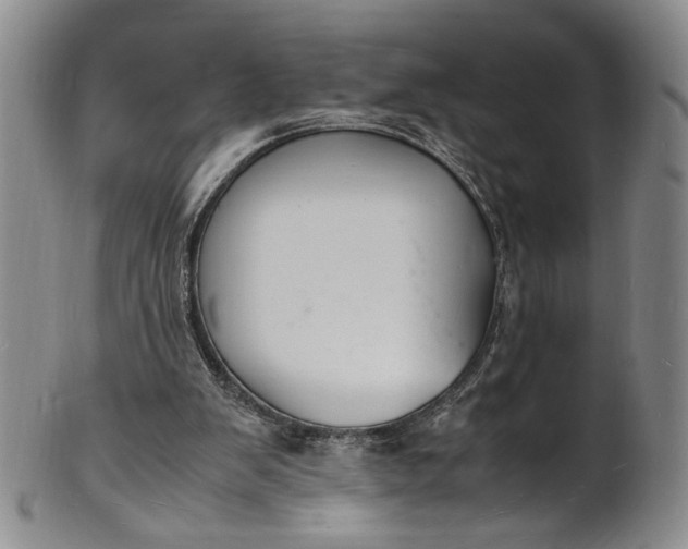 X0000100980103200807081253