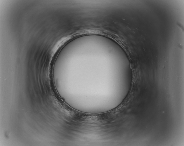 X0000100980104200807081253