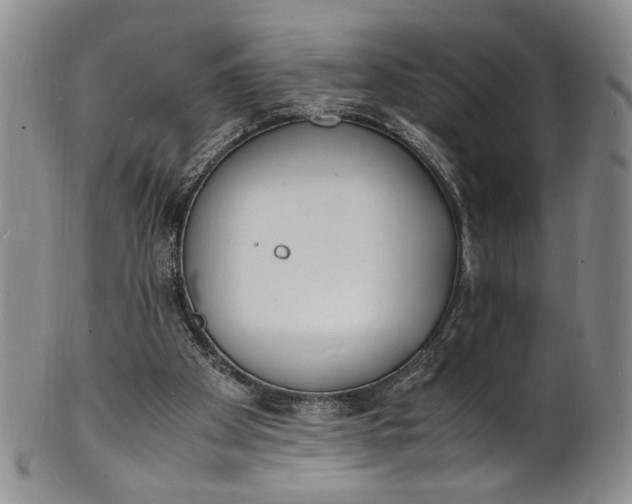 X0000100980105200807081253