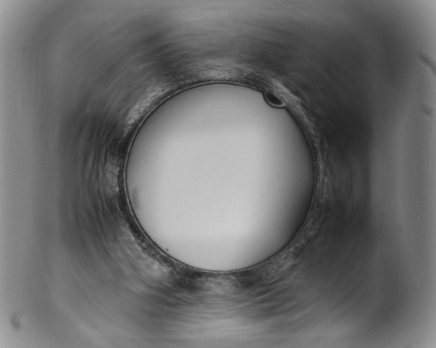 X0000100980106200807081253