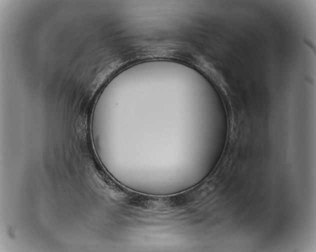 X0000100980107200807081253