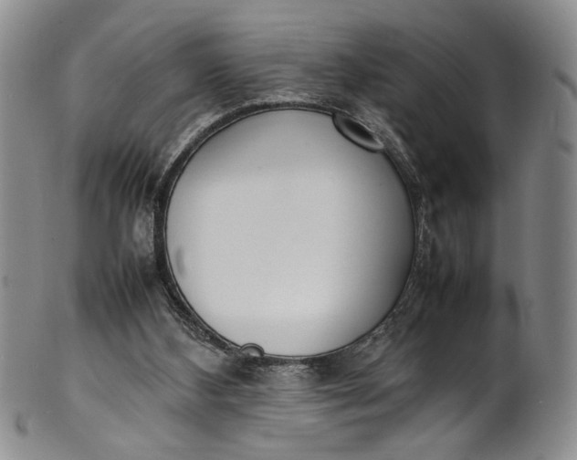 X0000100980108200807081253