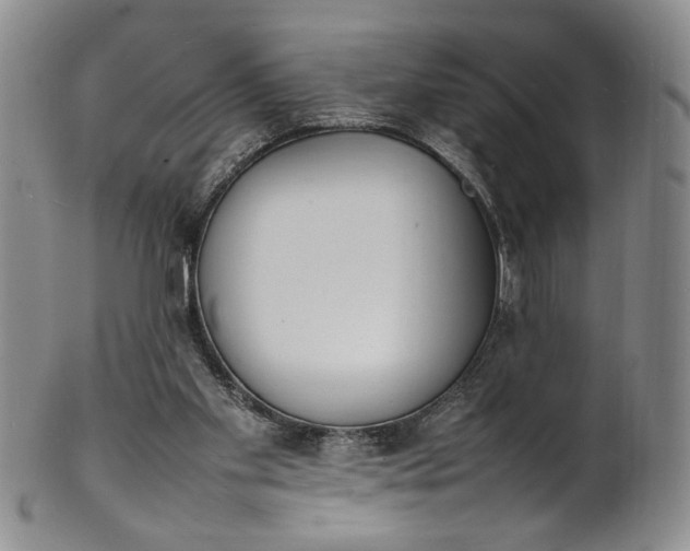 X0000100980109200807081253