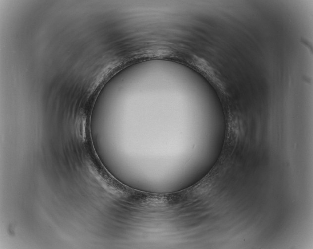 X0000100980110200807081253