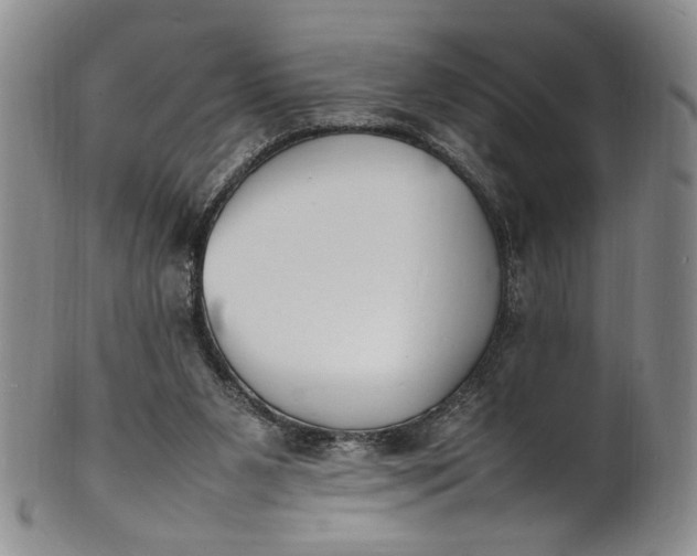 X0000100980111200807081253