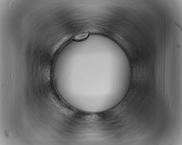 X0000100980112200807081253