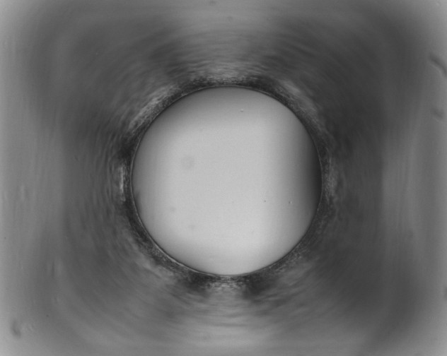 X0000100980115200807081253