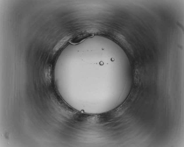 X0000100980116200807081253