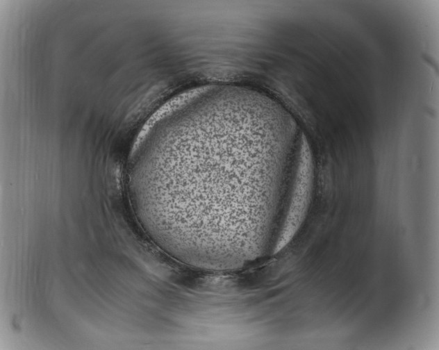 X0000100980117200807081253