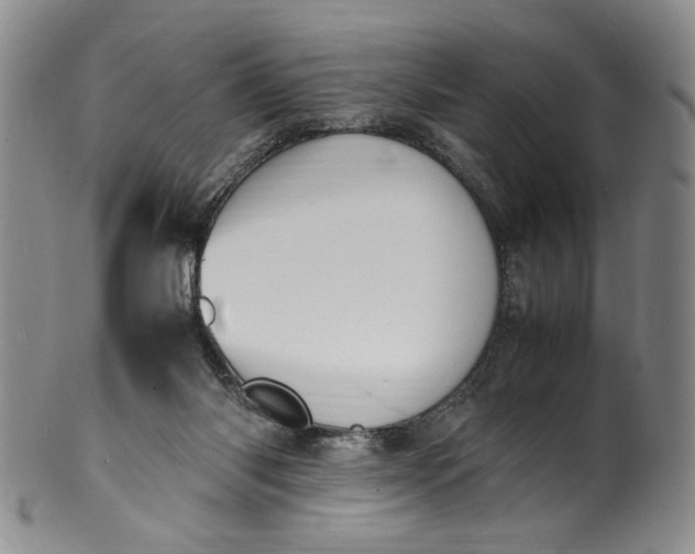 X0000100980118200807081253