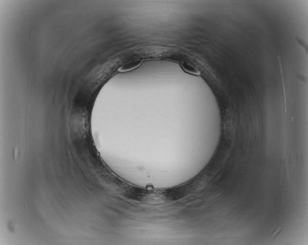 X0000100980119200807081253