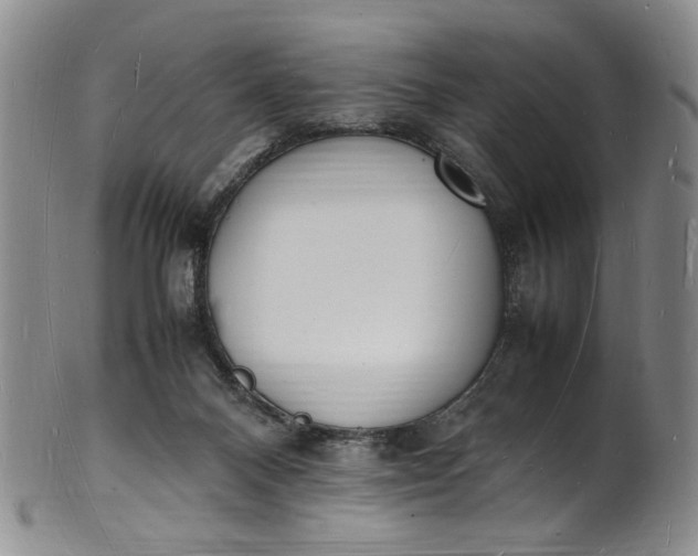 X0000100980120200807081253