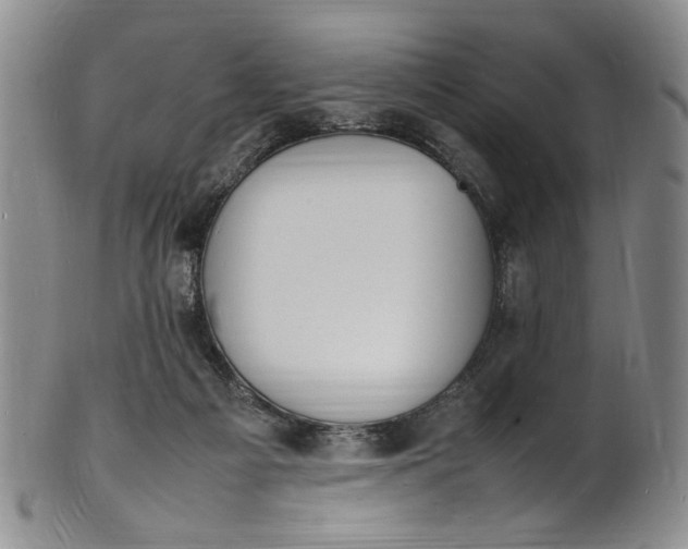 X0000100980121200807081253