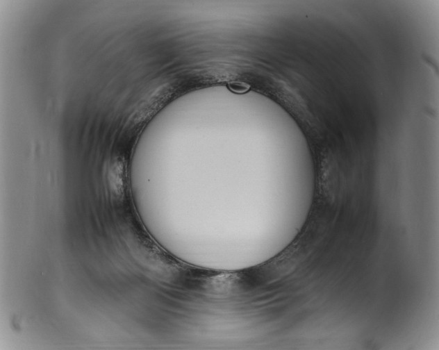 X0000100980122200807081253