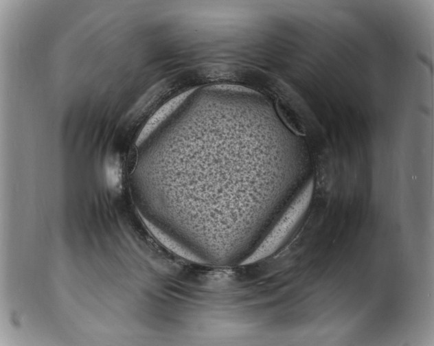 X0000100980124200807081253