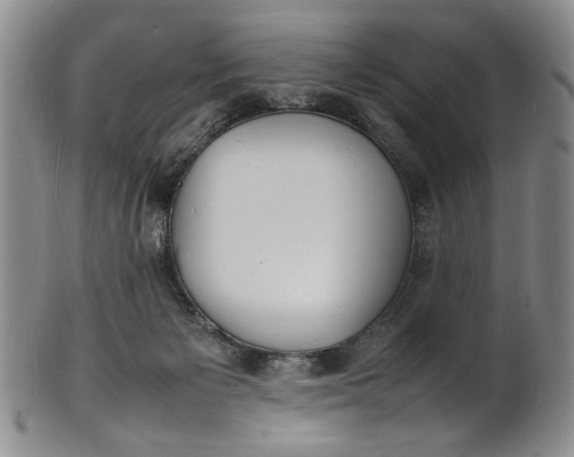 X0000100980125200807081253