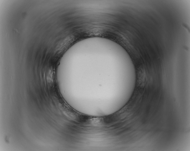 X0000100980126200807081253